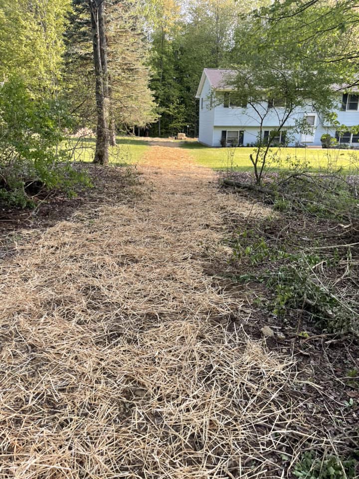 Installation of a new septic tank and leach field