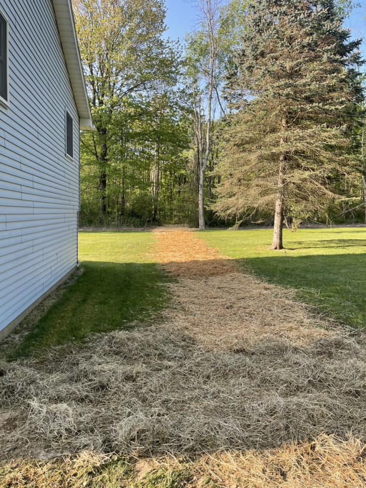 Installation of a new septic tank and leach field