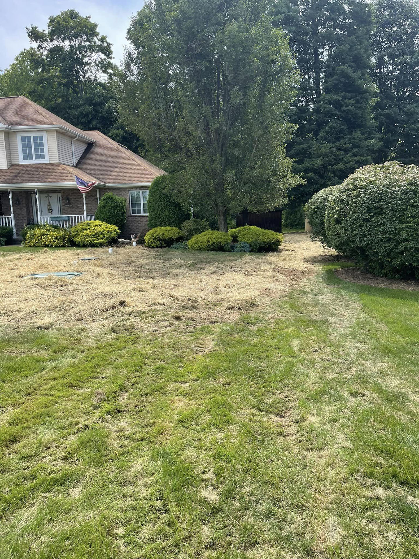 Installation of a new septic tank and leach field